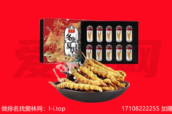 永吉县回收虫草.jpg